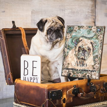 Custom pet art for Alyson F.