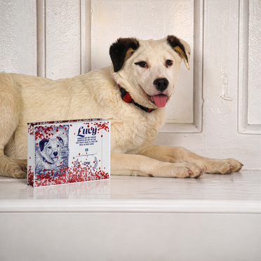 Custom pet art for Jasmin M.