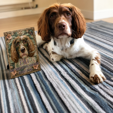 Custom pet art for Elizabeth W.