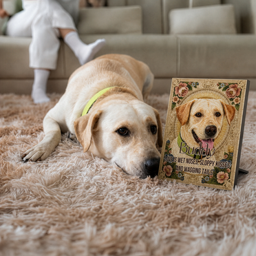 Custom pet art for Julia D.